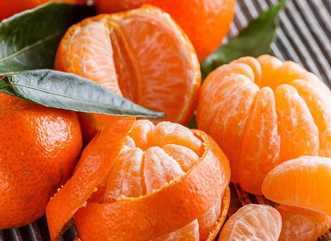 تصویر 3 از قیمت خرید نارنگی شمالی + فروش ویژه